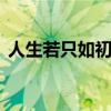 人生若只如初见下句 人生最美是初见下一句