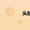 头部是哪里(头部结构图)