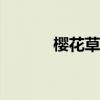樱花草歌曲 Sweety《樱花草》