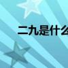 二九是什么意思(农历29日是什么日子)