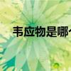 韦应物是哪个朝代的 韦应物的传奇人生！