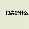 打尖是什么意思(东北话打尖是什么意思)
