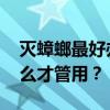 灭蟑螂最好办法有哪些？ 灭蟑螂的方法，怎么才管用？