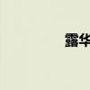 露华浓生姜洗发水怎么样