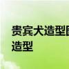 贵宾犬造型图片 百变之王——贵宾犬的不同造型