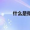 什么是指数基金(什么是货币基金) 什么是指数基金(什么是货币基金)