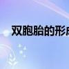 双胞胎的形成原因 双胞胎是如何产生的？