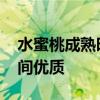 水蜜桃成熟时 常见水蜜桃产地品种及上市时间优质