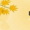 新鲜鲍鱼怎么存放