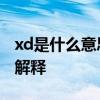 xd是什么意思 股票解禁与股票前代码的XD ·解释