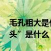 毛孔粗大是什么原因造成的 毛孔粗大的“源头”是什么？