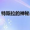 特斯拉的神秘皮卡 电动卡车于11月21日亮相