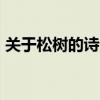 关于松树的诗句 70句赞扬松树的唯美古诗词