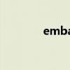 emba是什么(emba的意思)