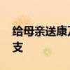 给母亲送康乃馨的禁忌 妈妈生日送什么花几支