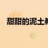 甜甜的泥土教案 一部超级治愈的冷门佳片