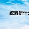 统筹是什么意思 什么情况会被统筹？