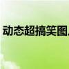 动态超搞笑图片(超长动画表情包给笑的人看)