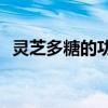 灵芝多糖的功效和作用是什么，你知道吗？