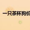 一只茶杯狗价钱 100元以下便宜又可爱的狗