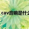 cav音响是什么品牌 讲解cav音响蓝牙接收器