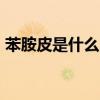 苯胺皮是什么 怎么保养 5个实用皮革保养法 苯胺皮是什么 怎么保养 5个实用皮革保养法