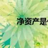净资产是什么意思(净资产名词解释)