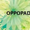 OPPOPADT00 OPPOPad性能怎么样 