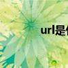url是什么 网址，URL，域名