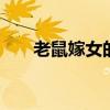 老鼠嫁女的故事 老鼠嫁女的民间故事