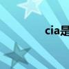 cia是什么(CIA全称是什么)