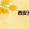 西安无线上网卡 西安大雁塔
