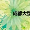 成都大型企业(成都十大高薪国企)