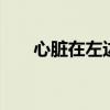 心脏在左边还是右边 心脏在身体哪边