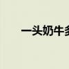 一头奶牛多少钱 一头奶牛一年的利润