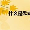 什么是欧式装修风格 什么是欧式装修 