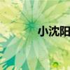小沈阳上坟 小沈阳怎么不火了