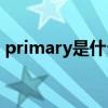 primary是什么意思(primary用英语怎么念)