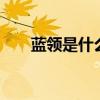 蓝领是什么意思？ 蓝领和白领的区别