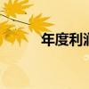 年度利润总额 年度利润总额包括