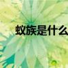 蚁族是什么意思 大学生蚁族是什么意思