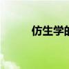 仿生学的发明 仿生学发明的东西