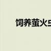 饲养萤火虫的方法 萤火虫的捕食方法
