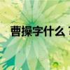 曹操字什么？ 一代枭雄曹操生平简介优质