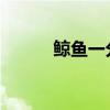 鲸鱼一分钟心跳是几次有多少次