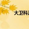 大卫科波菲尔的故事梗概是什么 大卫科波菲尔的故事梗概是什么