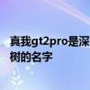 真我gt2pro是深泽人发明的吗 真我gt2pro为什么有深泽直树的名字 