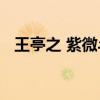王亭之 紫微斗数 紫微斗数为何如此神奇？