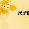 尺子的种类 各种尺子的名称