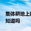 集体耕地上建厂房 集体耕地建厂房的后果你知道吗